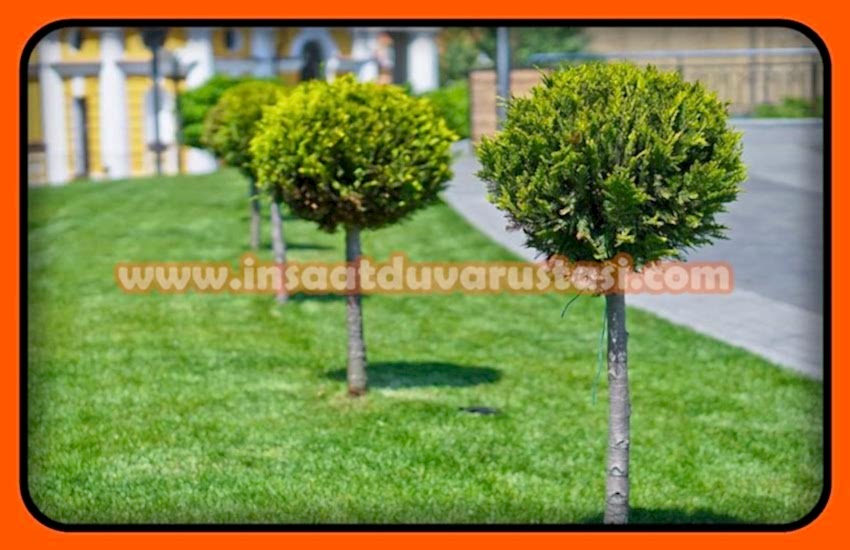 /PEYZAJ%20İŞÇİLİK%20FİYATLARI
